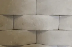 Antisana